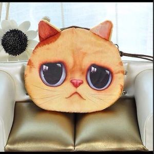 Wide eyed kitty change purse.